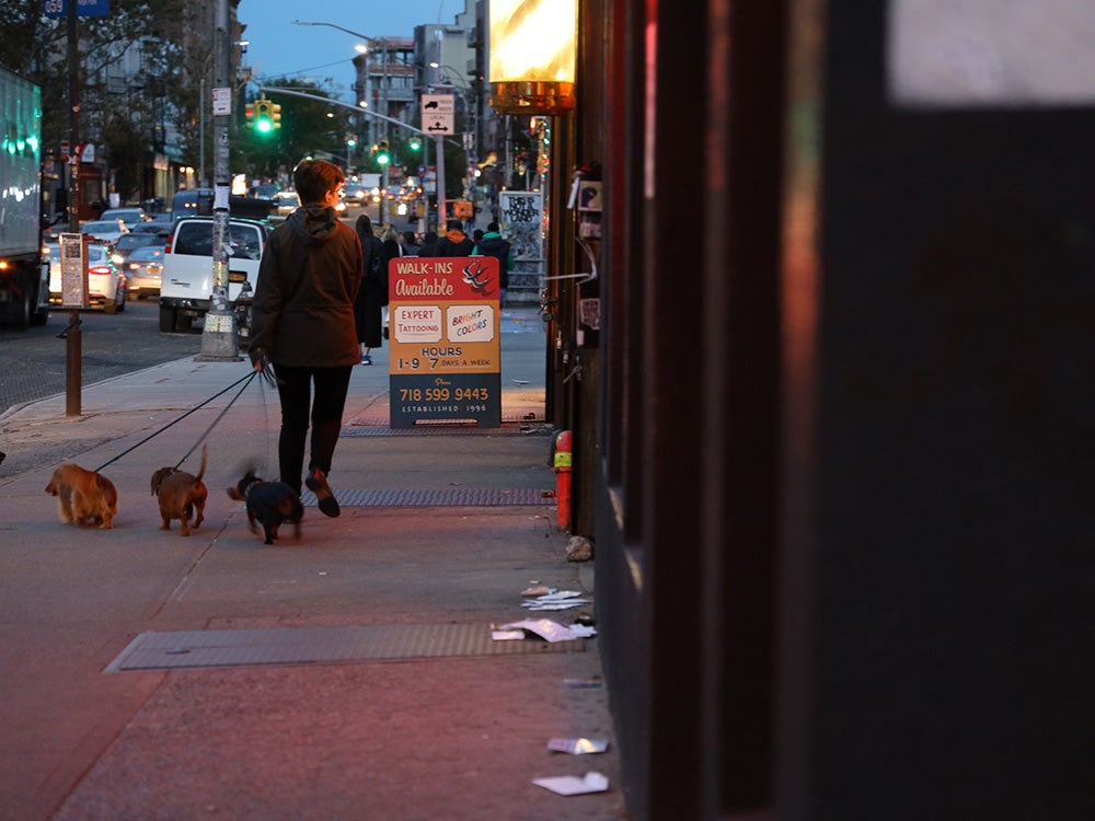walking dogs down city street