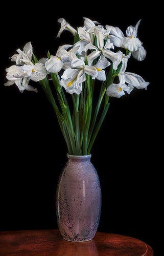 white irises in a vase.jpg