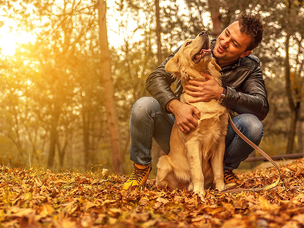 man and dog in autumn leaves