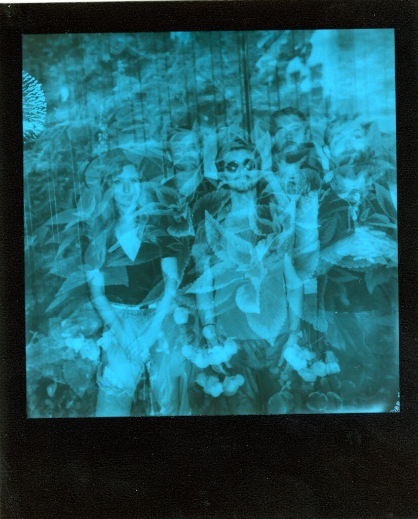 Polaroid Onestep+ sample negative nature