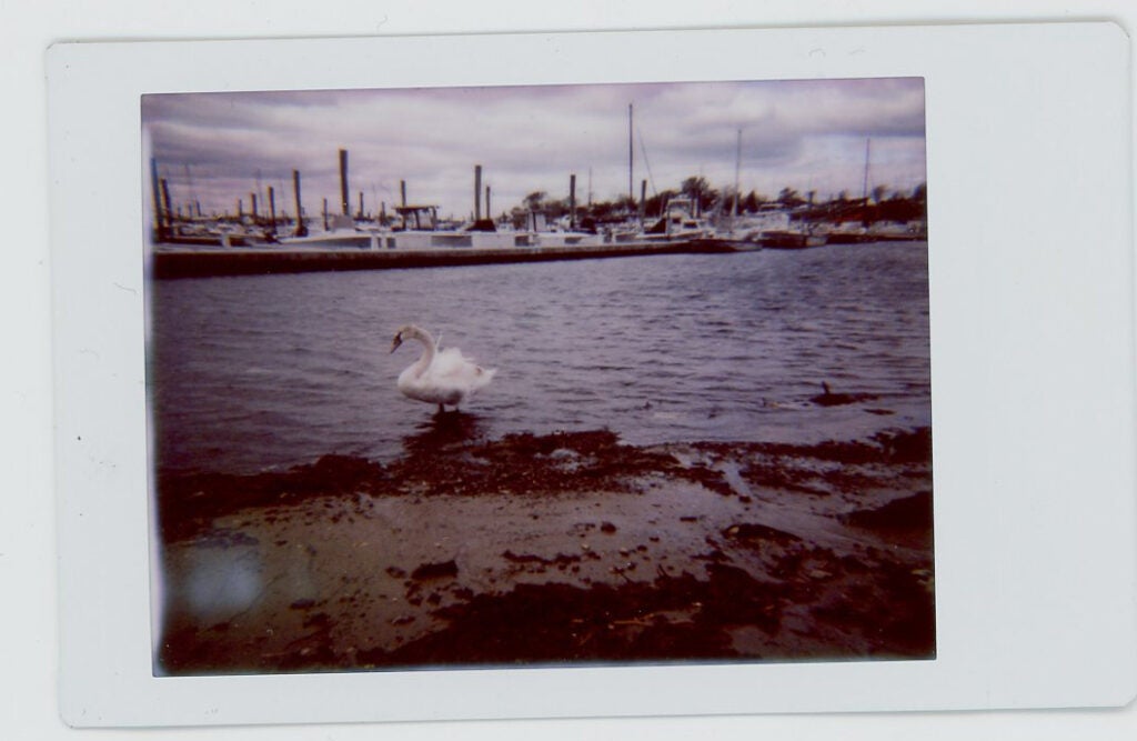 Shot with the Lomo’Instant Automat.
