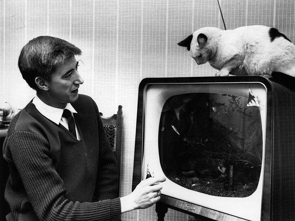 cat on fish tank tv
