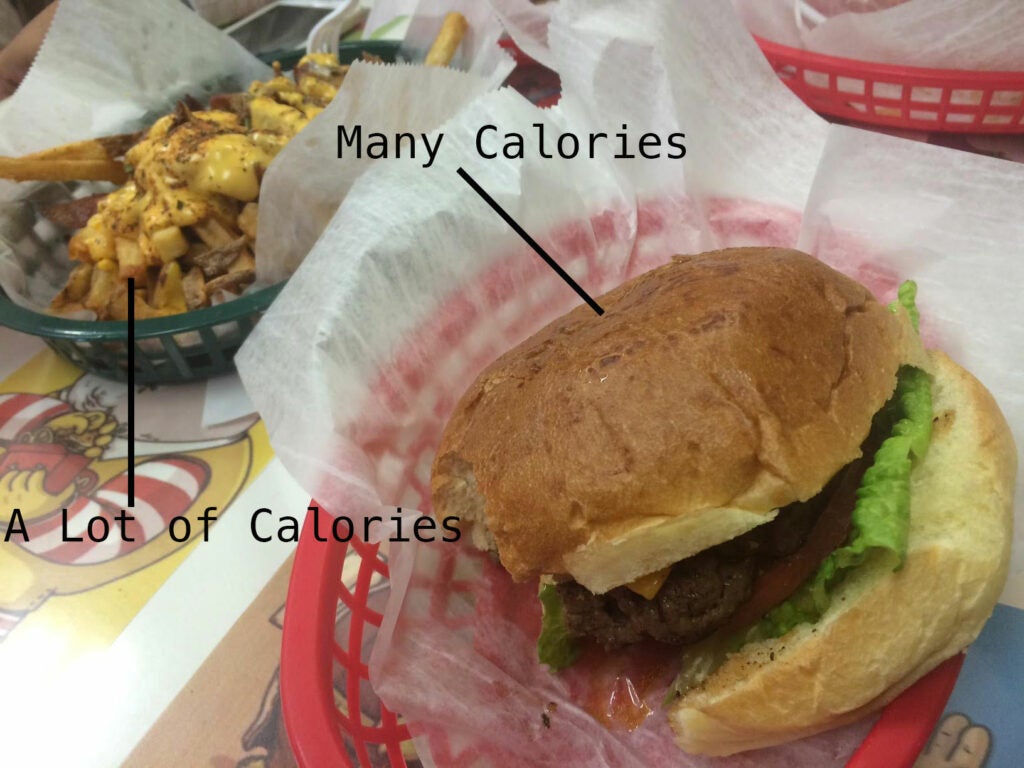 Google Calorie Camera