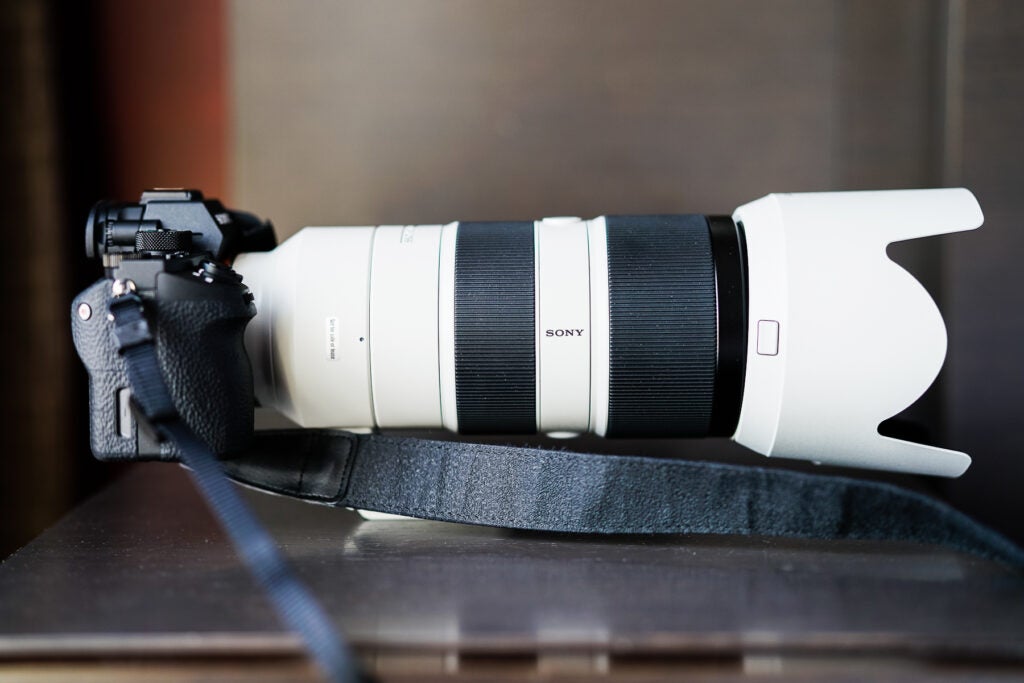 First Impressions: FE 70-200mm F/2.8 GM OSS G Master Lens And 2x Teleconverter