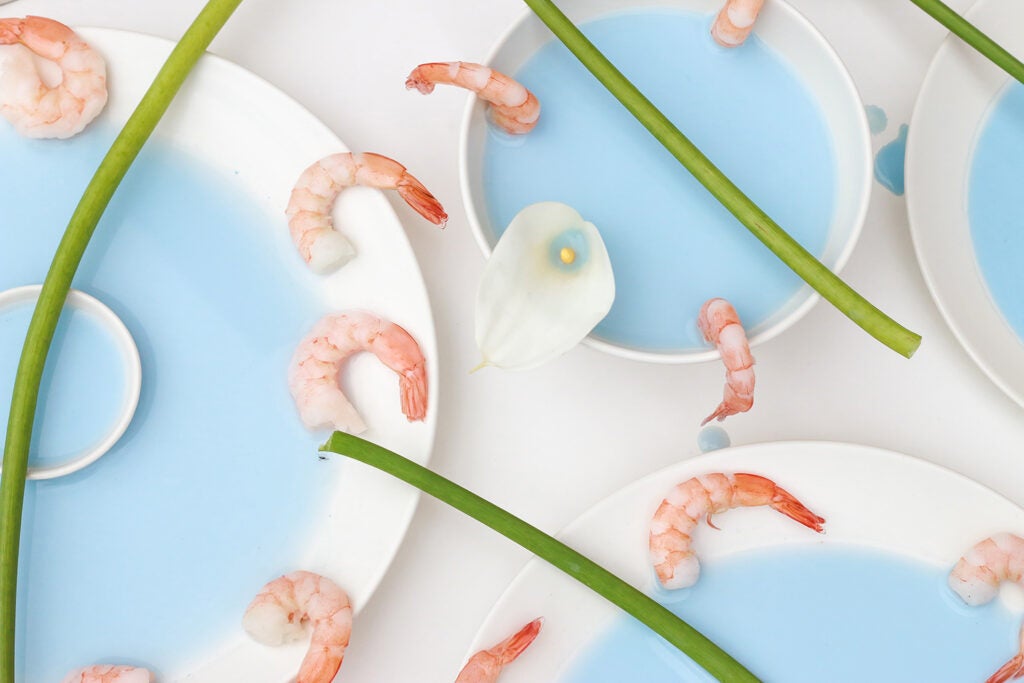 shrimp and blue soup on white background