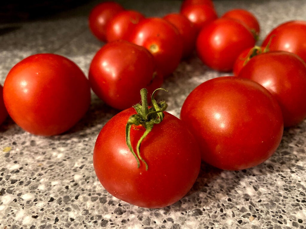 Tomatoes on a counter