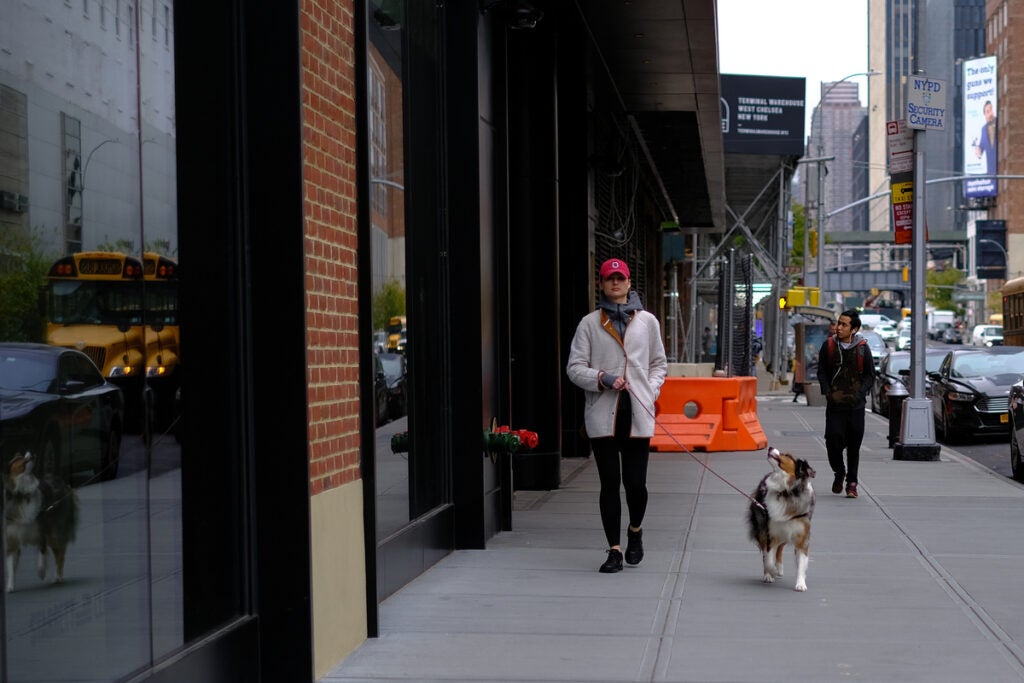 walking a dog on the sidewalk