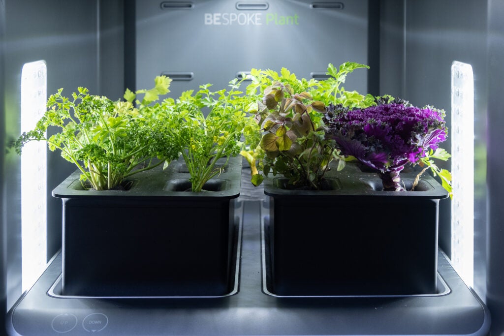 Samsung Bespoke Plants