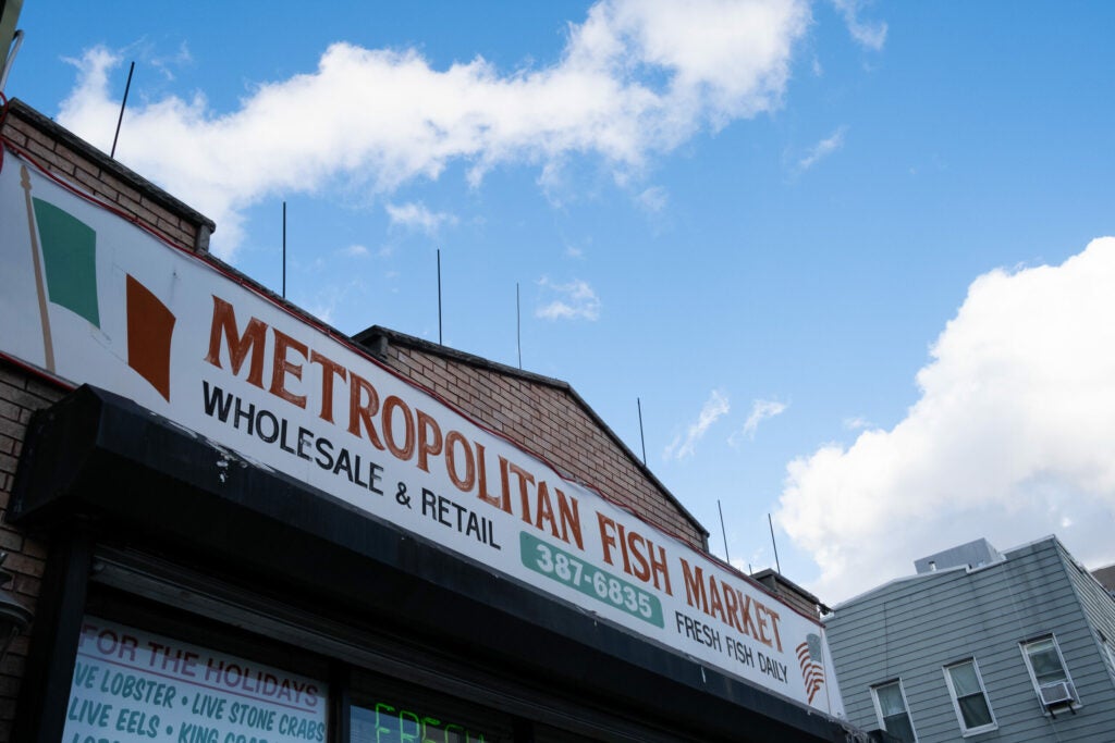 metropolitan fish market