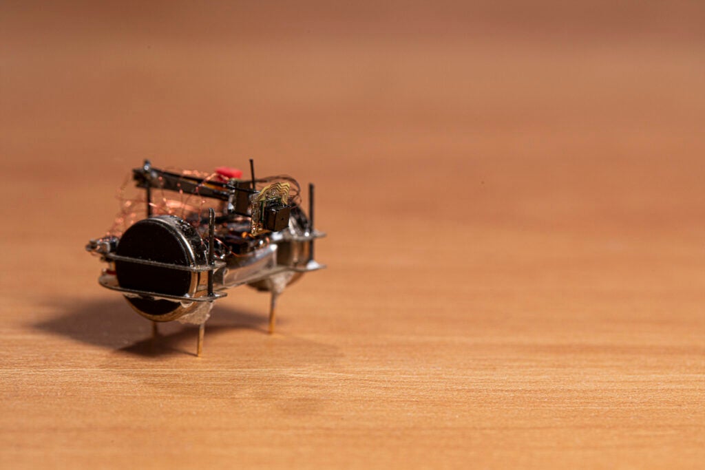 An insect-sized robot built to carry the wee camera around.