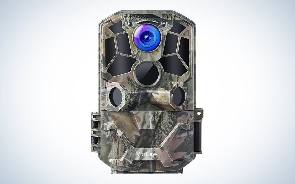 Best trail camera for documenting nature