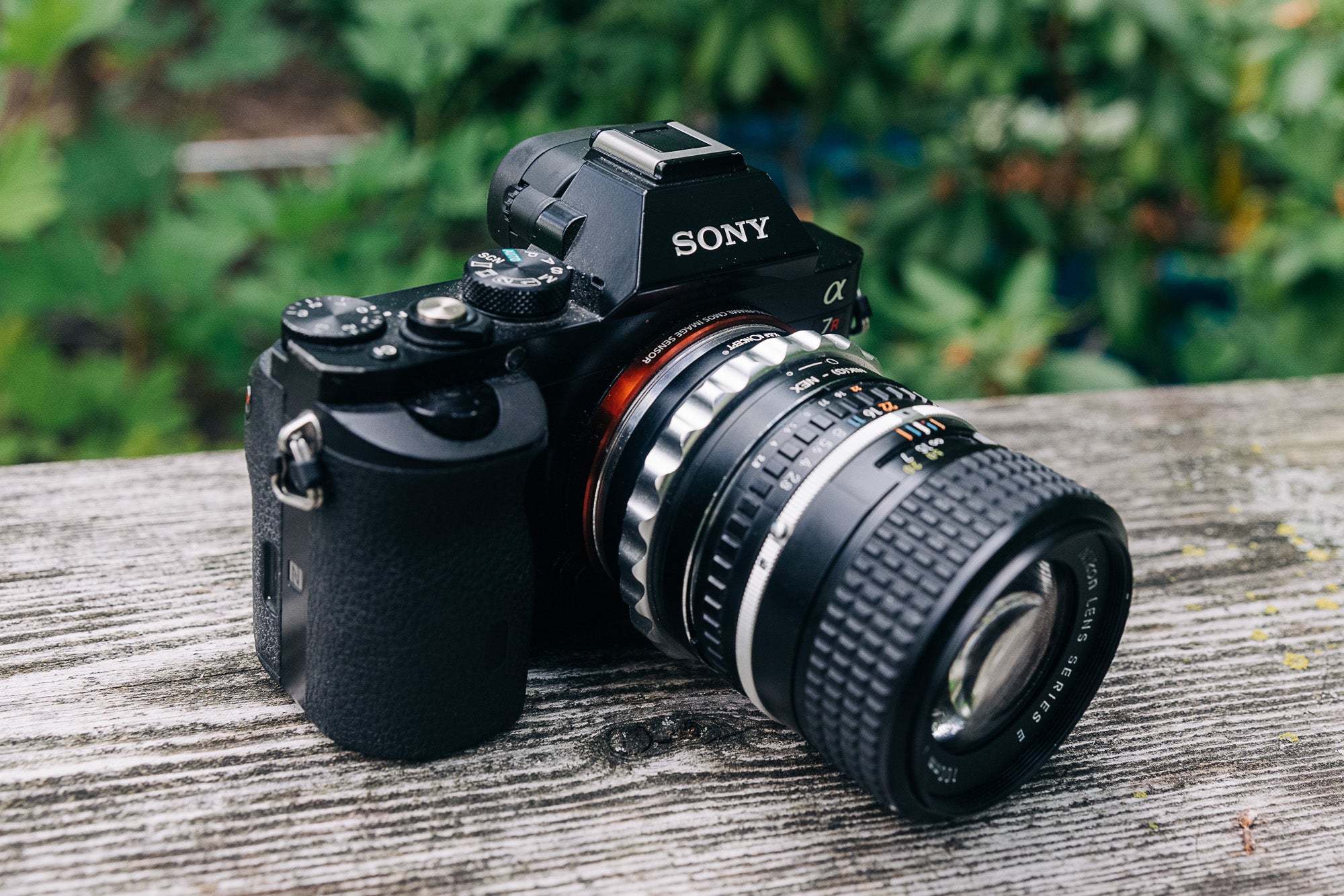 vintage lenses adapted to sony camera