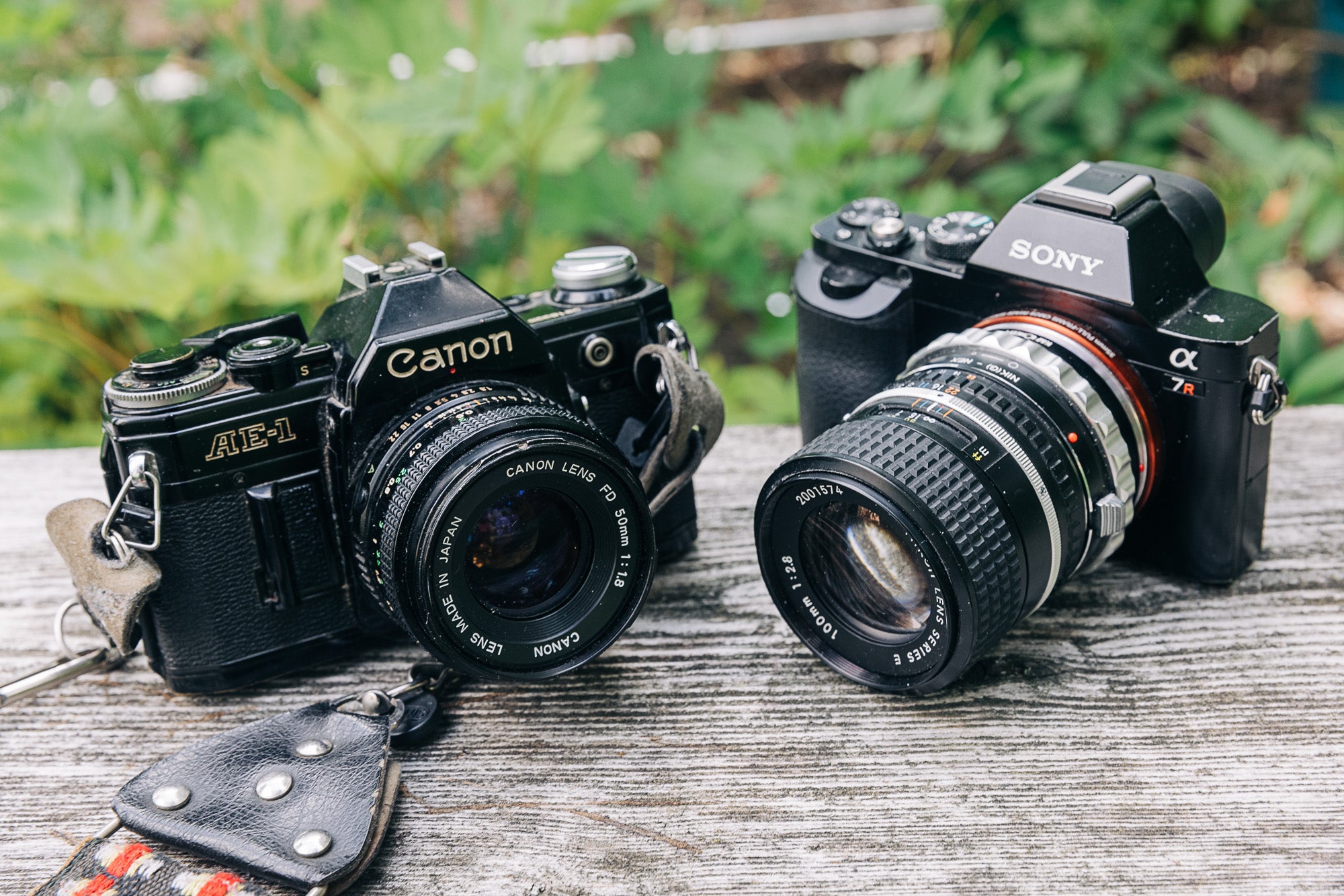 A sony a7r with an vintage lenses and canon AE-1 cameras
