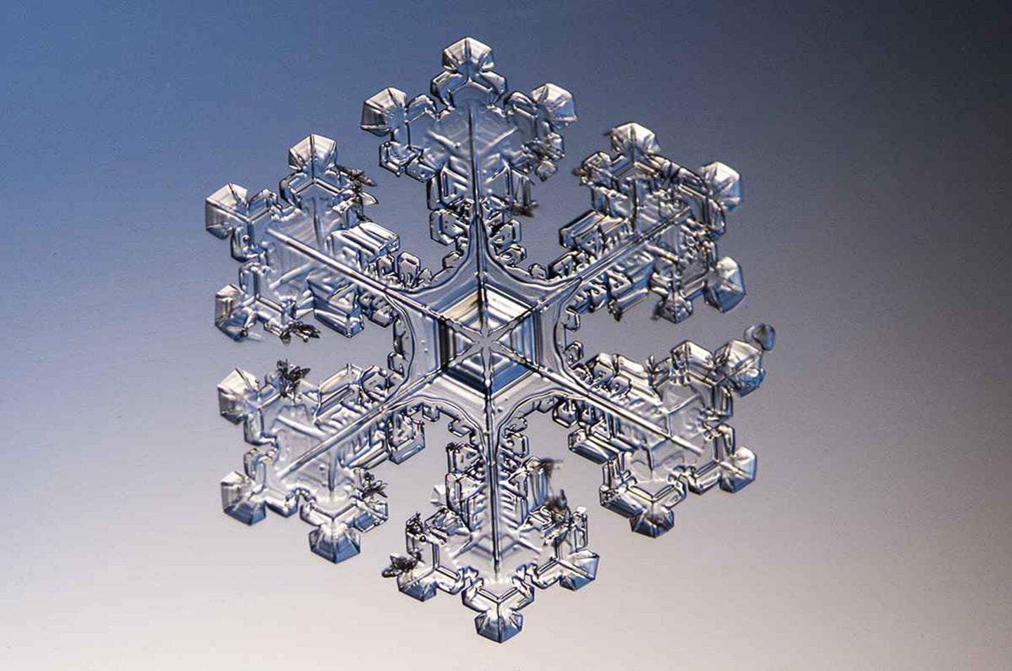 This ice crystal was approximately 1 mm in size. The picture was made at 2:00 pm and the temperature was 14 F. This type of flake is called a stellar dendrite.