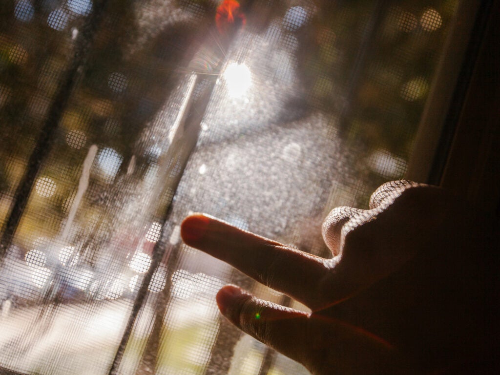 fingers on the window screen