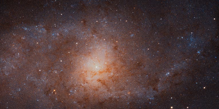 New Hubble image offers a detailed look at the Triangulum Galaxy