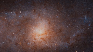 New Hubble image offers a detailed look at the Triangulum Galaxy