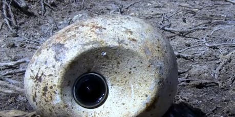 Bird Steals Nature Camera Disguised as Egg, Captures Stunning View of Penguin Colony
