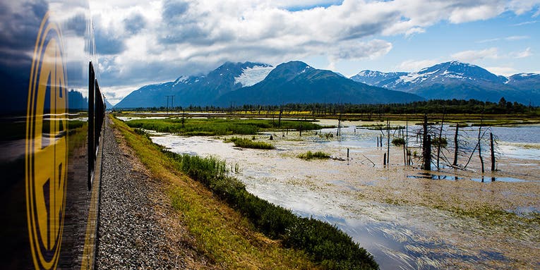 Seven tips for shooting nature photos with your smartphone camera