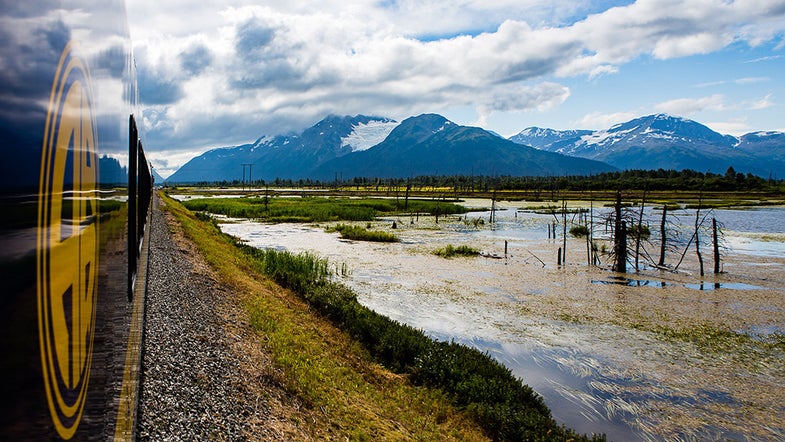 train ride in alaska