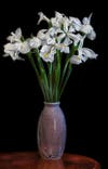 white irises in a vase.jpg