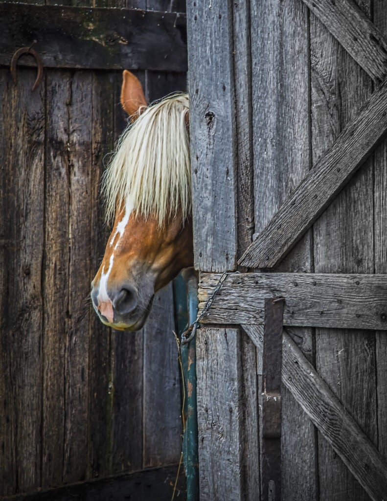 Old Stable