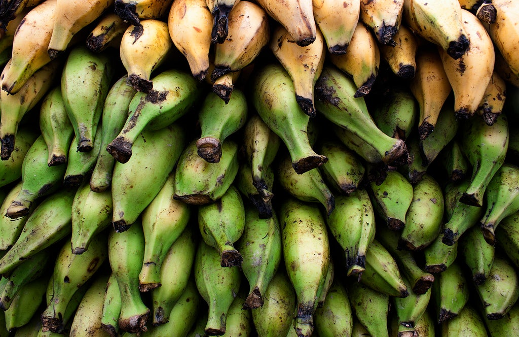 Today's Phot of the Day was submitted by Flickr user <a href="http://www.flickr.com/photos/alejandraquero2/">Ale Quero</a>. It's a great example of how a pattern shot can be simple, but extremely effective. By integrating the yellow bananas at the top of the frame, it adds some variety and contrast as well. Really nice. If you want to be considered for Photo of the Day, submit a photo to <a href="http://www.flickr.com/groups/1614596@N25/">our Flickr group, here</a>.