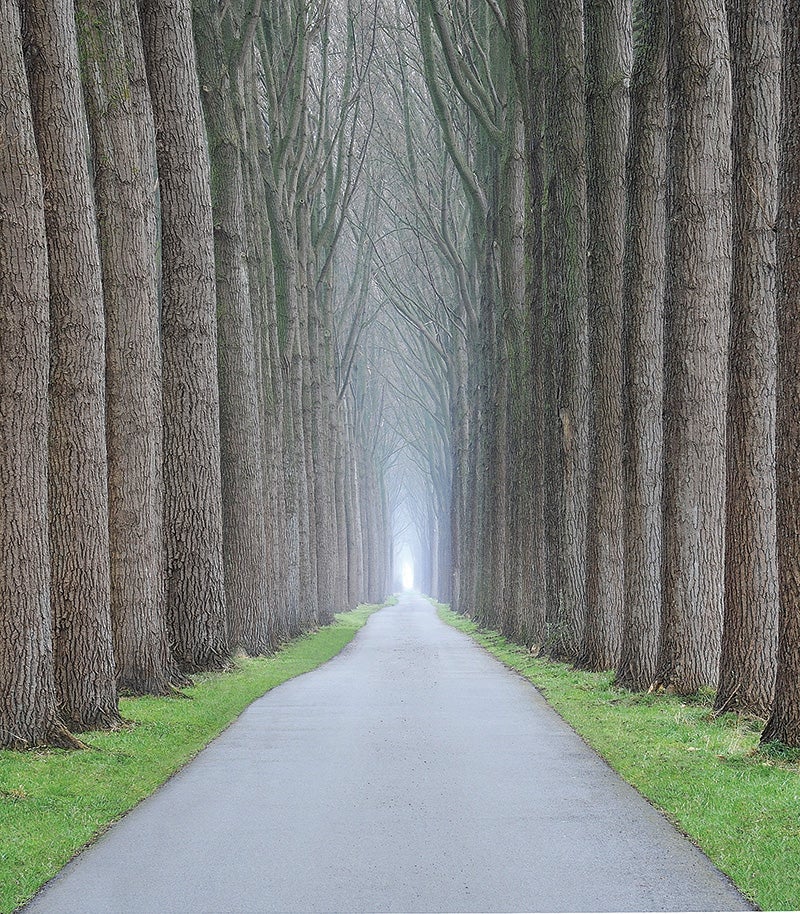 Damme, Belgium.