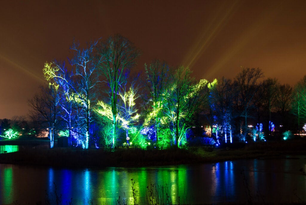 Today's Photo of the Day comes from Flickr user Vbajda and was shot in Lisle, Illinois at the Morton Arboretum. This long-exposure nighttime scene was taken with a Canon EOS 60D and a 18-200mm lens. See more of Vbajda's work <a href="http://www.flickr.com/photos/aiv/">here.</a>