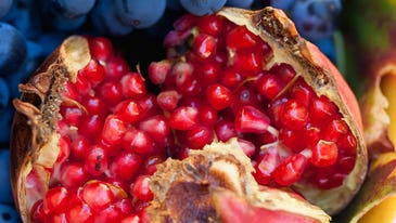 Shoot Better Food Photos With Any Camera Shoot Better Food Photos With Any Camera