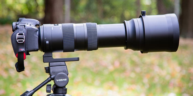 First Impressions: Sigma 150-600mm F/5-6.3 DG OS HSM Telephoto Zoom Lens