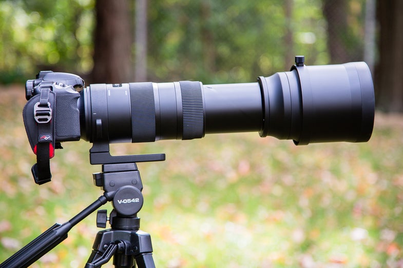 Sigma 150-600mm OS Zoom Lens First Impressions Review