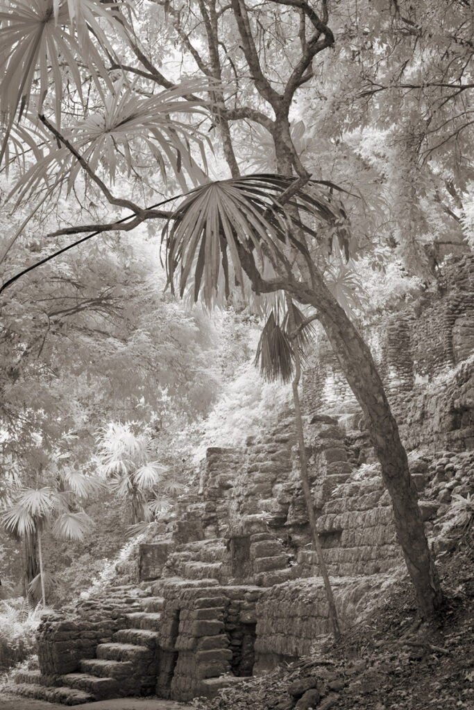 Mundo Perdido, Tikal, Guatemala