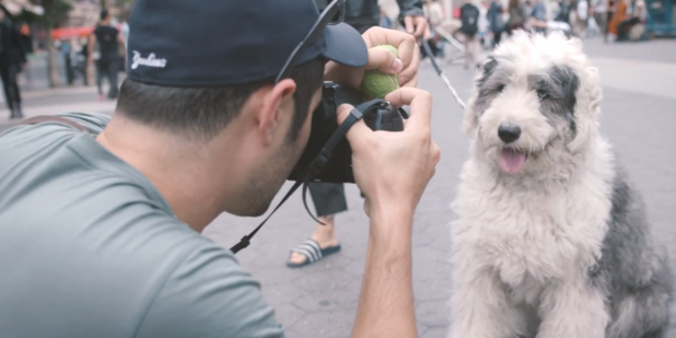 Video: 10 Tips For Taking Better Pictures of Your Dog