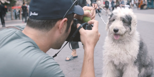Video: 10 Tips For Taking Better Pictures of Your Dog Video: 10 Tips For Taking Better Pictures of Your Dog
