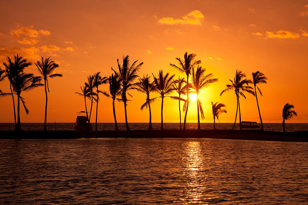 Two boats, a row of coco palms and a Vog filled sky