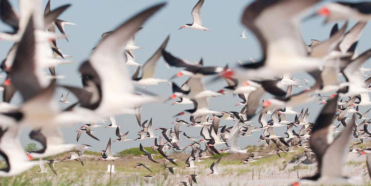 Your Best Shot Gallery: June 2016