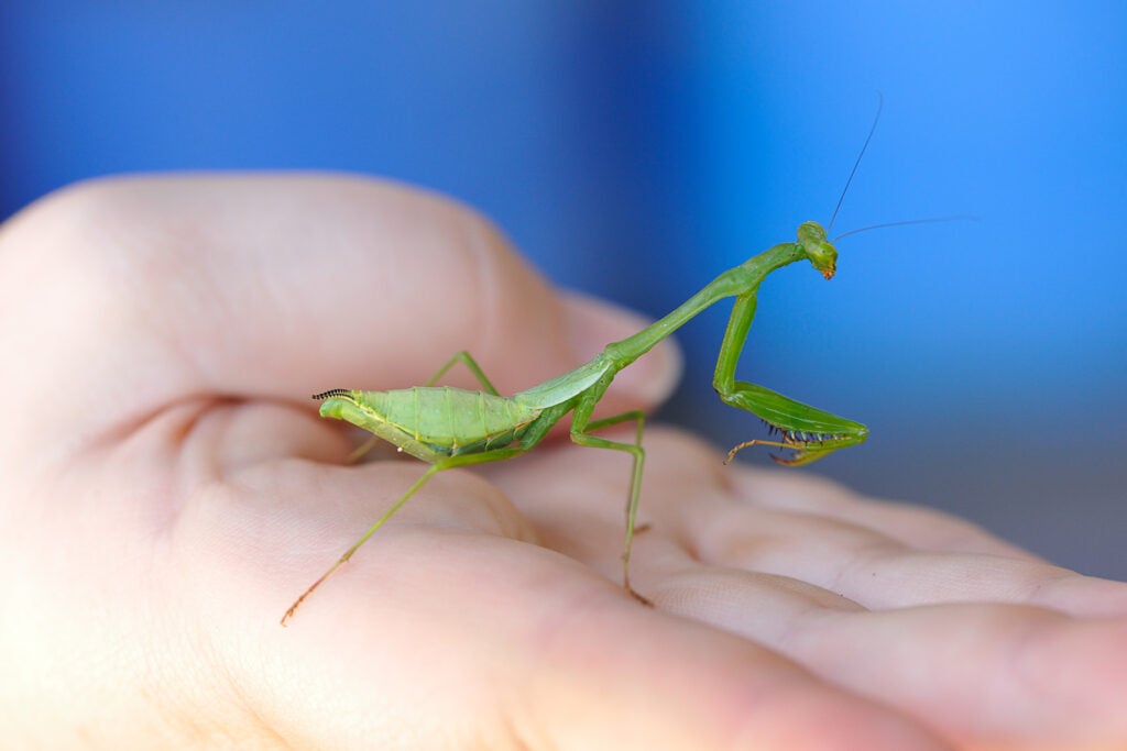 20100130_bd_costarica-0021.jpg