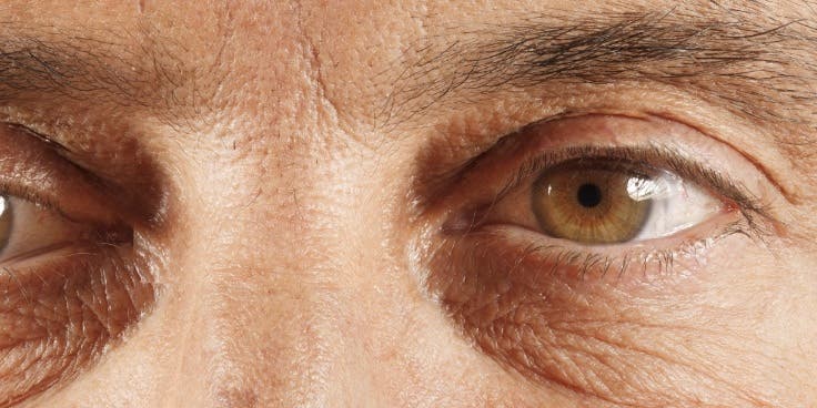 Daniel Boschung’s “Face Cartography” Shows the Insane Detail of 900-Megapixel Portriats Daniel Boschung’s “Face Cartography” Shows the Insane Detail of 900-Megapixel Portriats