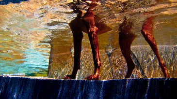 Photo of the Day: Monday January 04 2010