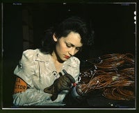 Typepad Import Image