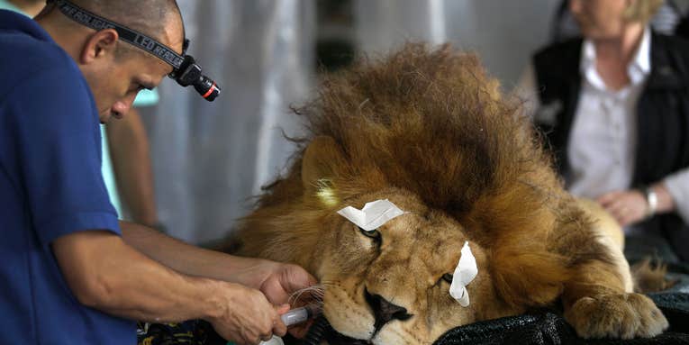 Photojournalism of the Month: February 2015 Photojournalism of the Month: February 2015