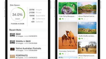 PhotoShelter Launches A New Mobile App