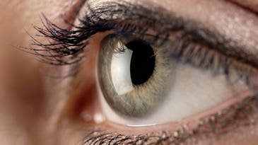 New Research Shows Human Eye Can Detect Individual Light Particles