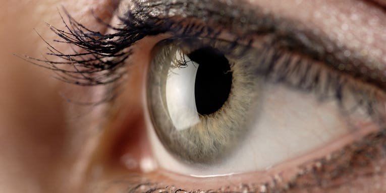New Research Shows Human Eye Can Detect Individual Light Particles