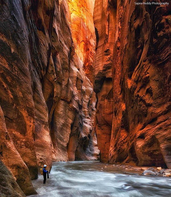 Sapna made today's Photo of the Day at Zion Natiional Park in Utah, using a Nikon D800. See more of her work <a href="http://www.flickr.com/photos/sapna_reddy/">here</a>.