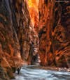 Sapna made today's Photo of the Day at Zion Natiional Park in Utah, using a Nikon D800. See more of her work <a href="http://www.flickr.com/photos/sapna_reddy/">here</a>.