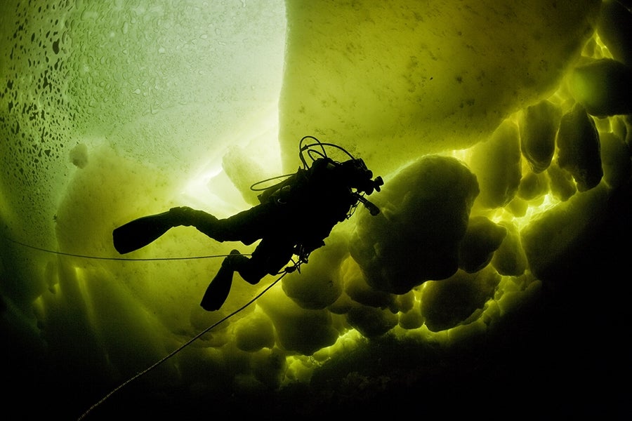 "Diving-Under-The-Ice"