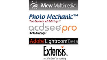 Which Photo Management Tool is Right for You?