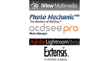 Which-Photo-Management-Tool-is-Right-for-You
